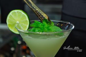 Backyard to Bar: Kara’s Basil Gimlet Redefines Summer at Barolo Grille