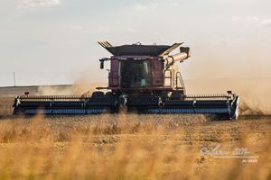 Kansas Wheat Harvest Begins Slowly Amid Weather Challenges