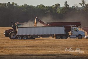 Kansas Harvest Starts Late with 45% of Wheat Rated Good to Excellent