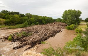 BREAKING: City of Salina Finalizes Contractor for Smoky Hill River Log Jam Cleanup Amid Debate and Citizen Concerns