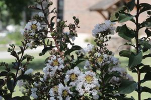 Paleoecologist to Open Second Season of ‘Prairie Conversations’