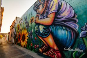 Check Out BOOM! Salina’s Five New Murals — Plus a Conversation with Artist Mindy Allen