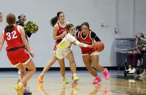 Lady Cougars Defeat McPherson 42-23 (Photo Gallery)