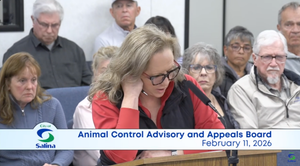 “Heart Stick” Allegation Mentioned at Two Meetings; Shelter Response Does Not Include Specific Comment