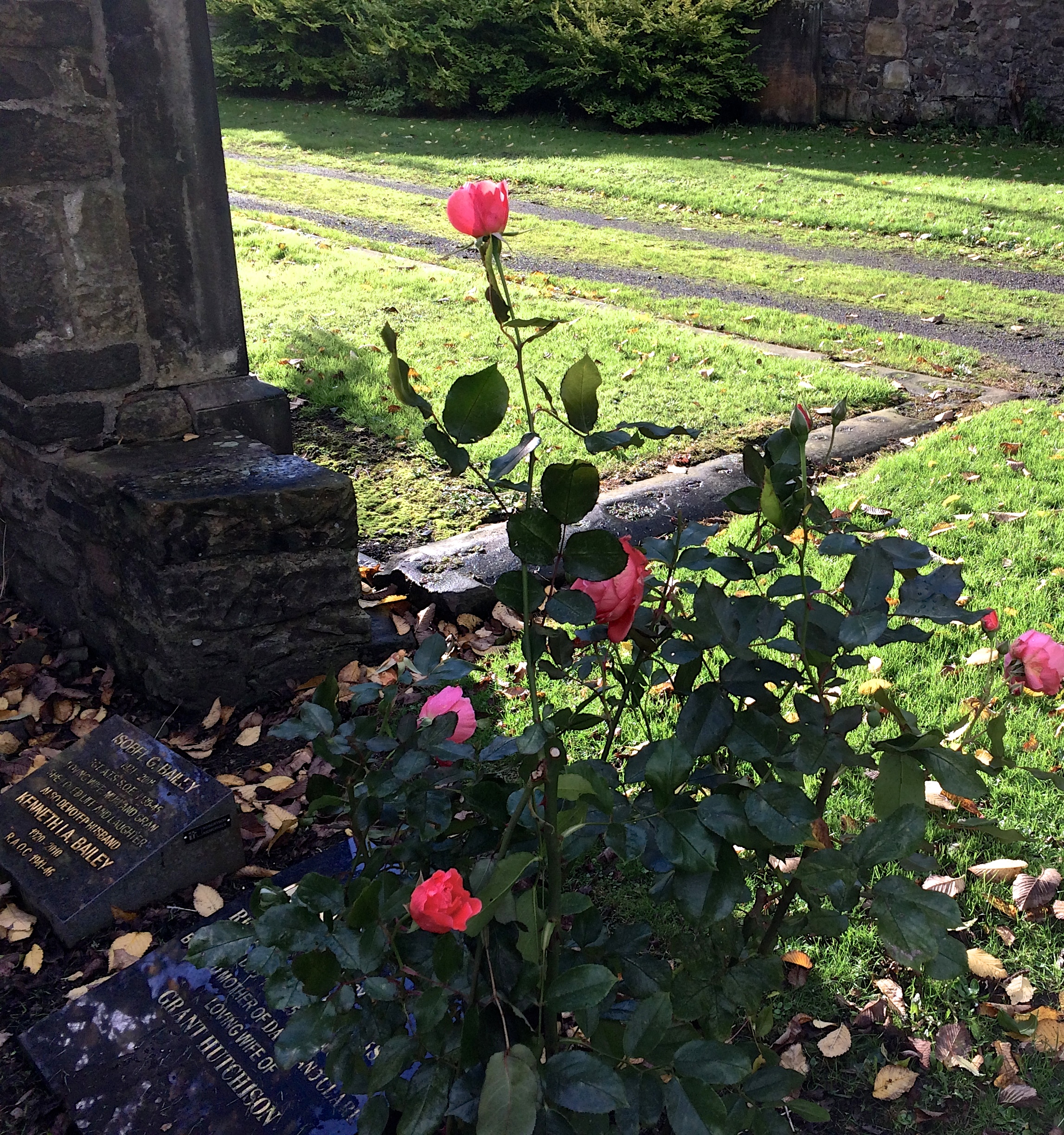 Patriarchy by any other name: ZIMZUM?