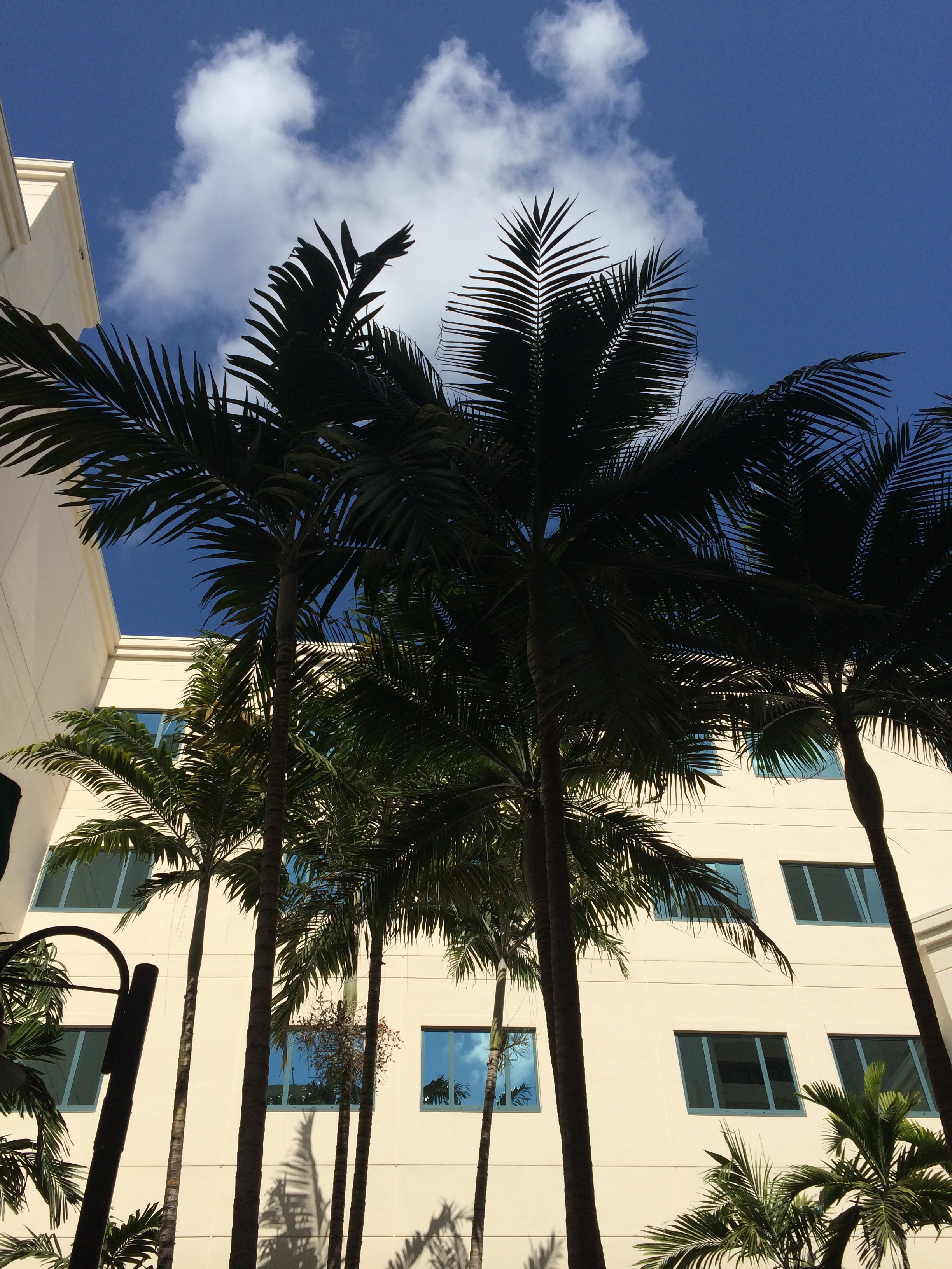 Apply Carefully to Real Life