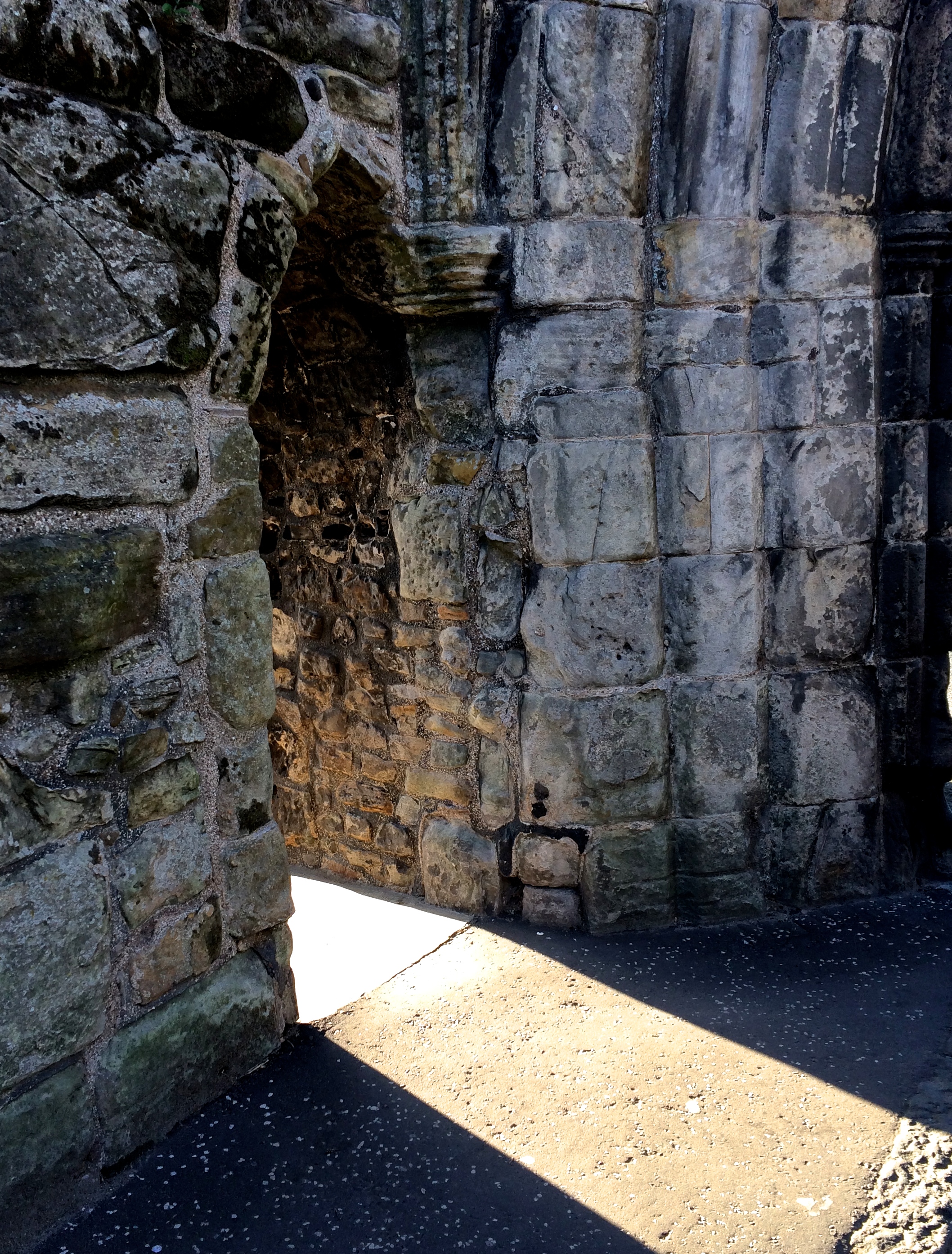 A Normal Person Post!