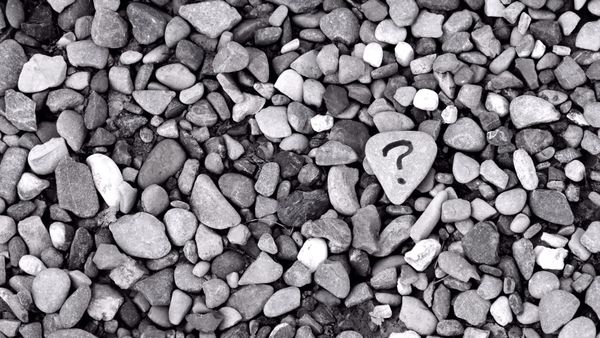 Reader Q+A, August: The different types of social proof