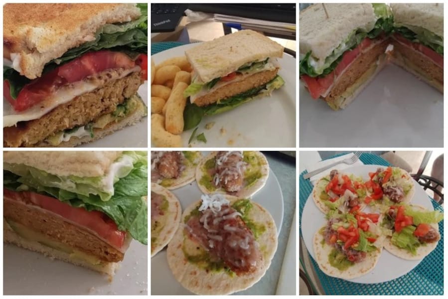 Vegan Meat Alternative