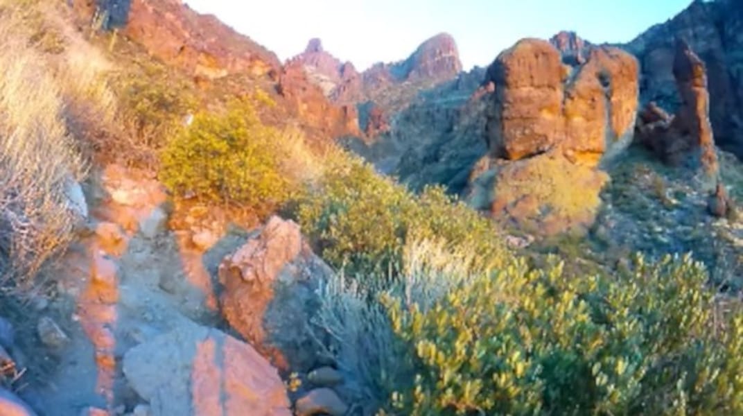 Celebrating 61 on St. Patrick’s Day: A Journey of Life, Health, and Gratitude