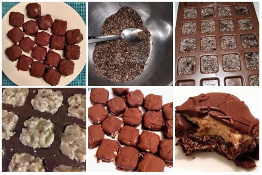 Chocolate Harvest Bliss Bites