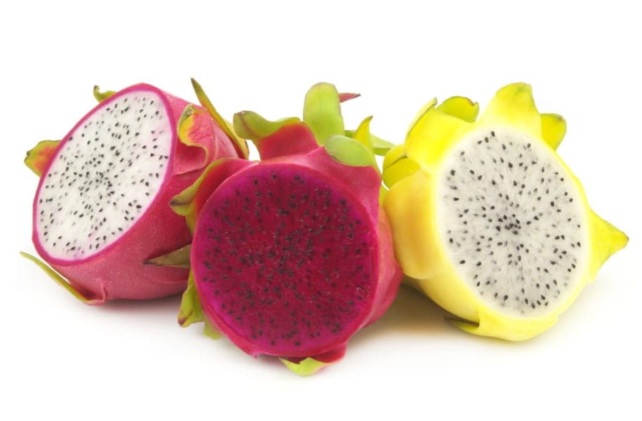 The World of Dragon Fruit