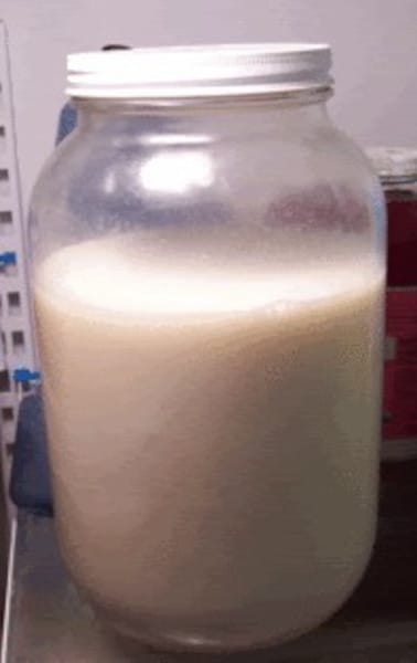 Dairy Free - Raw Almond Milk