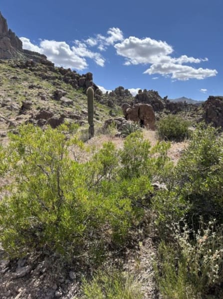 Journey to Weaver's Needle