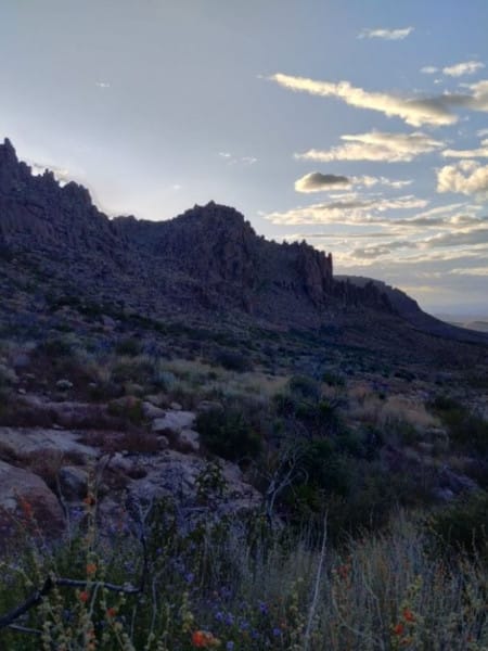 Journey to Weaver's Needle