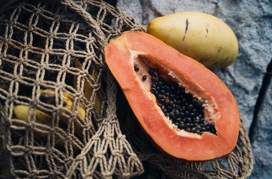 Exploring Papaya