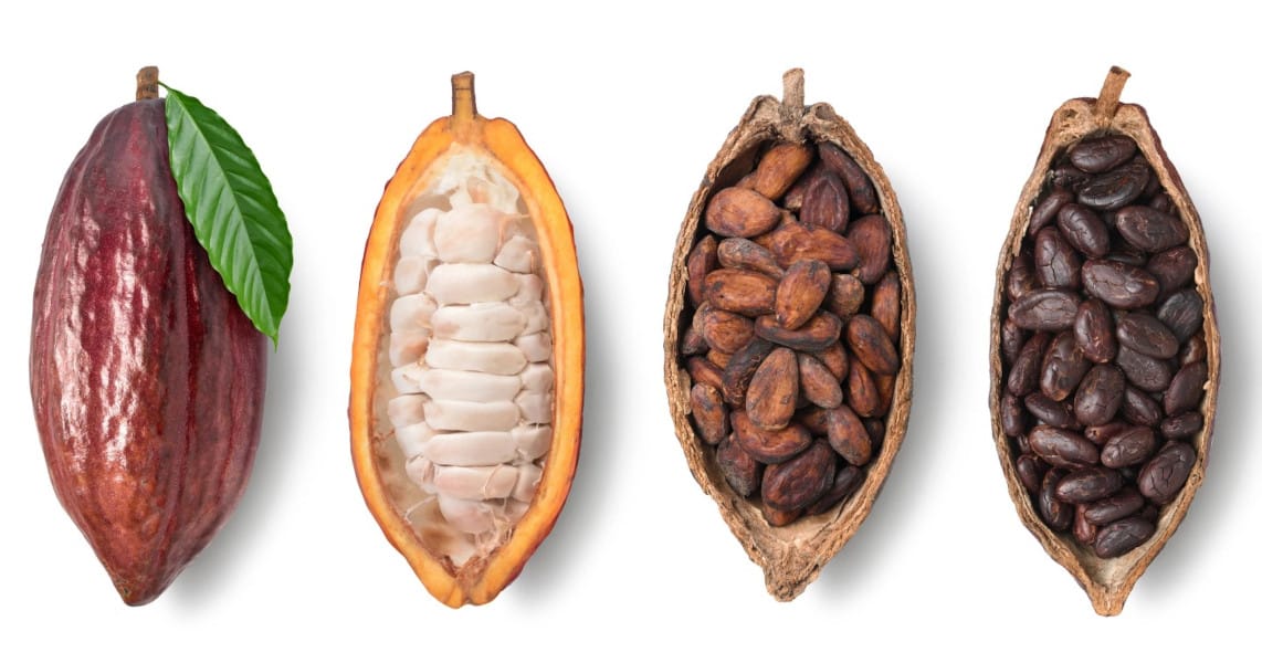 The Magic of Raw Cacao