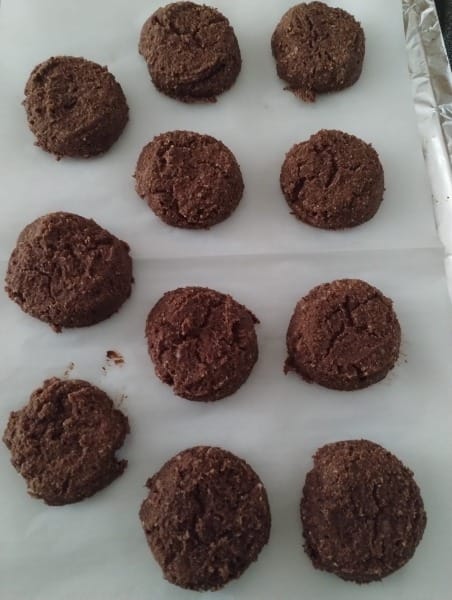 Chocolate Tahini Coconut–Banana Toaster Cookies