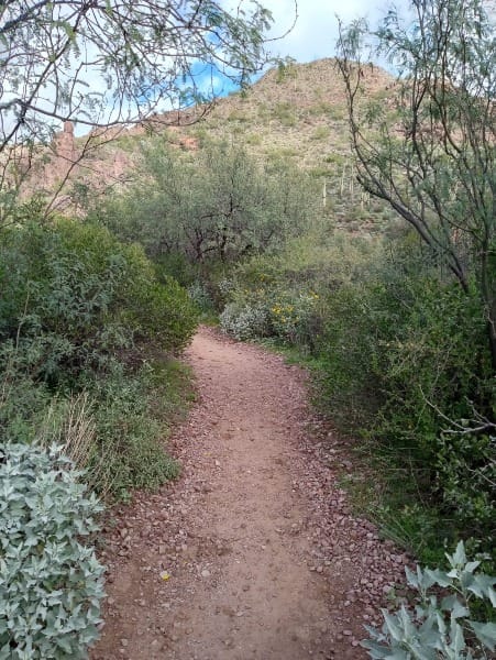 Peralta Trailhead