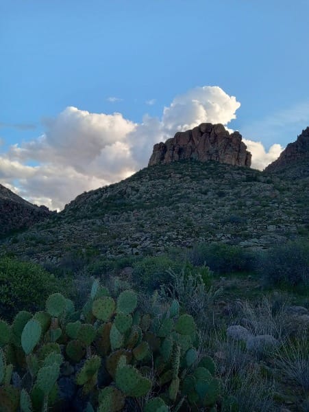 Weaver’s Needle Loop