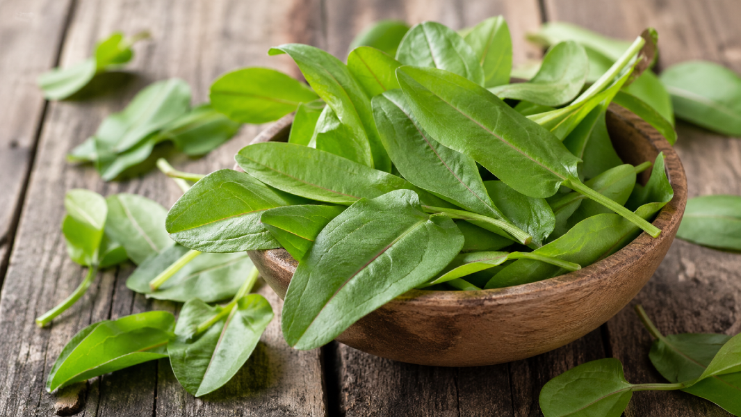 The 10 May Focus Foods I’m Using This Month