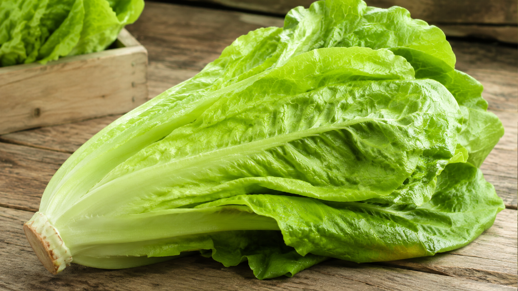 Welcome June: 10 Fresh Focus Foods for Hydration, Digestion and Summer Energy