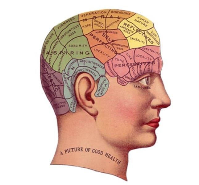 Brain Health And Raw Food: Eat, Think, And Be Healthy