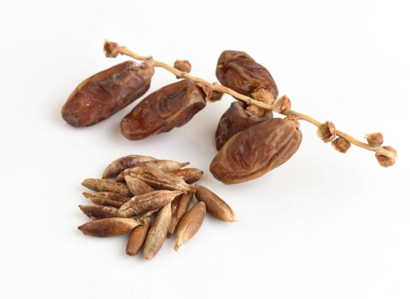 Homemade Date Seed Coffee