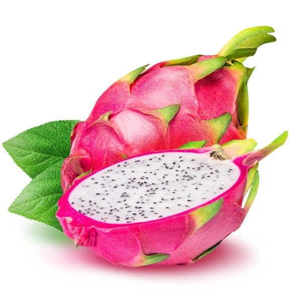 The World of Dragon Fruit