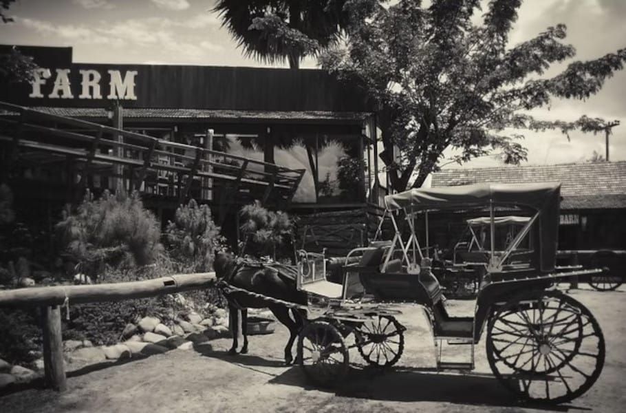 From Struggle to Sustenance