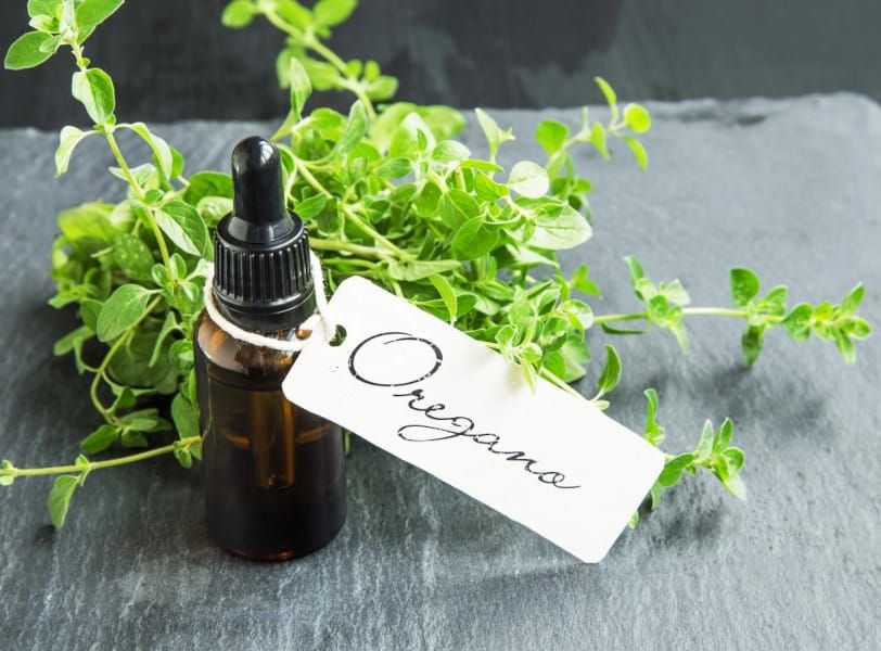 The Potent Elixir: Oregano Oil