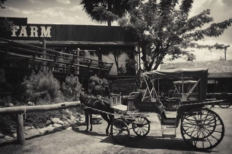 From Struggle to Sustenance