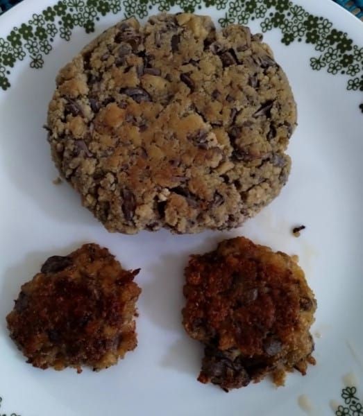 Tofu and Jackfruit Vegan Burger