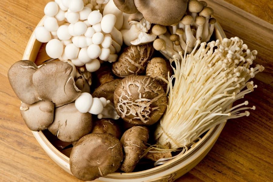 The Marvelous World of Mushrooms