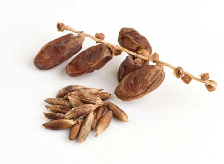 Homemade Date Seed Coffee