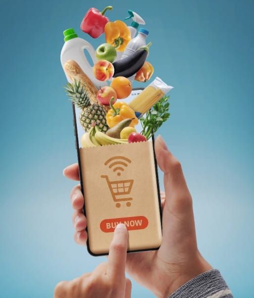 Food Delivery and Grocery Services