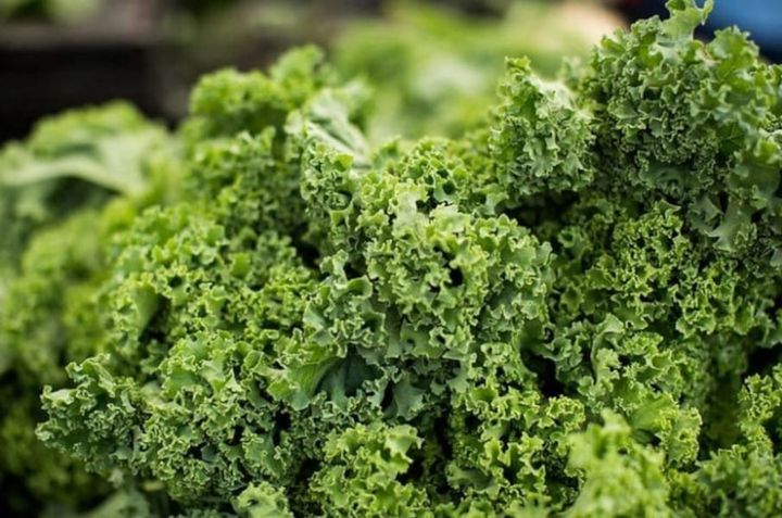 Boost Your Liver Health with a Plant-Based Diet