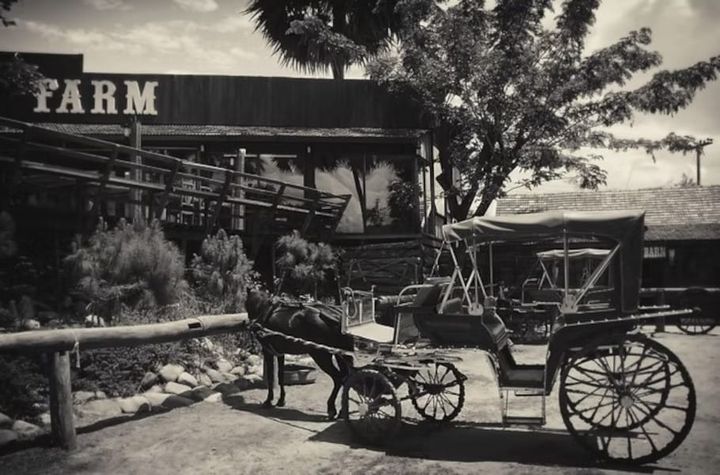 From Struggle to Sustenance