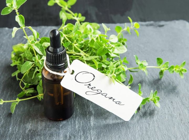 The Potent Elixir: Oregano Oil