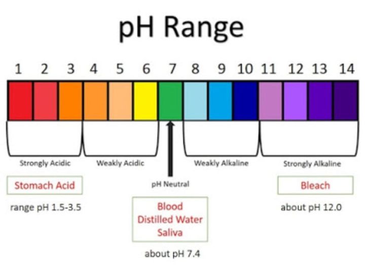 The Significance of Alkalinity