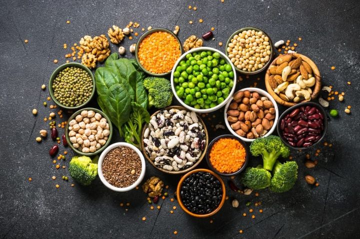 Debunking the Protein Controversy