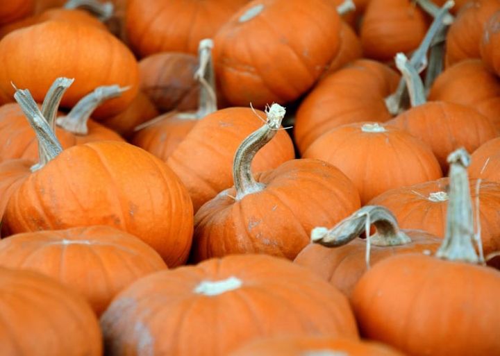 Pumpkin: A Nutritional Goldmine
