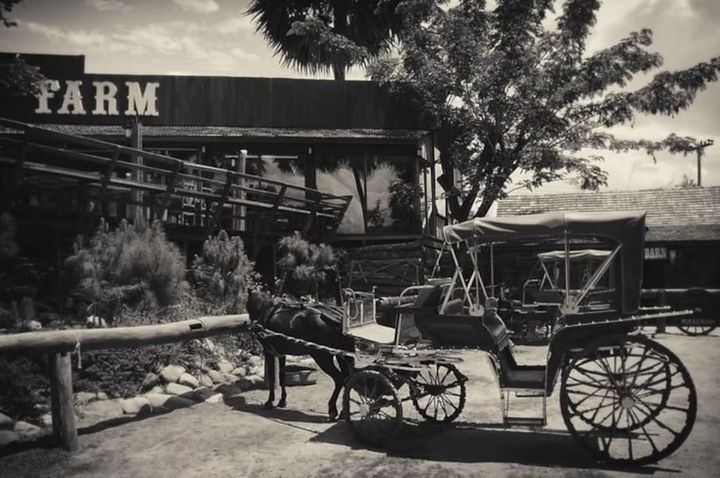 From Struggle to Sustenance