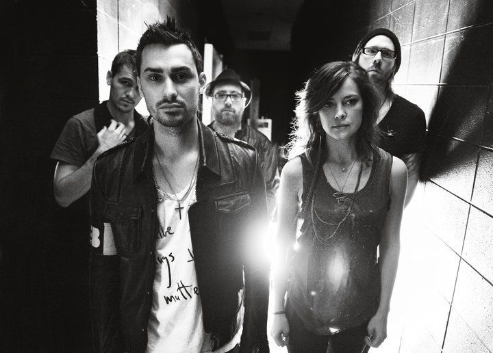 Shirock – TOUR TIPS