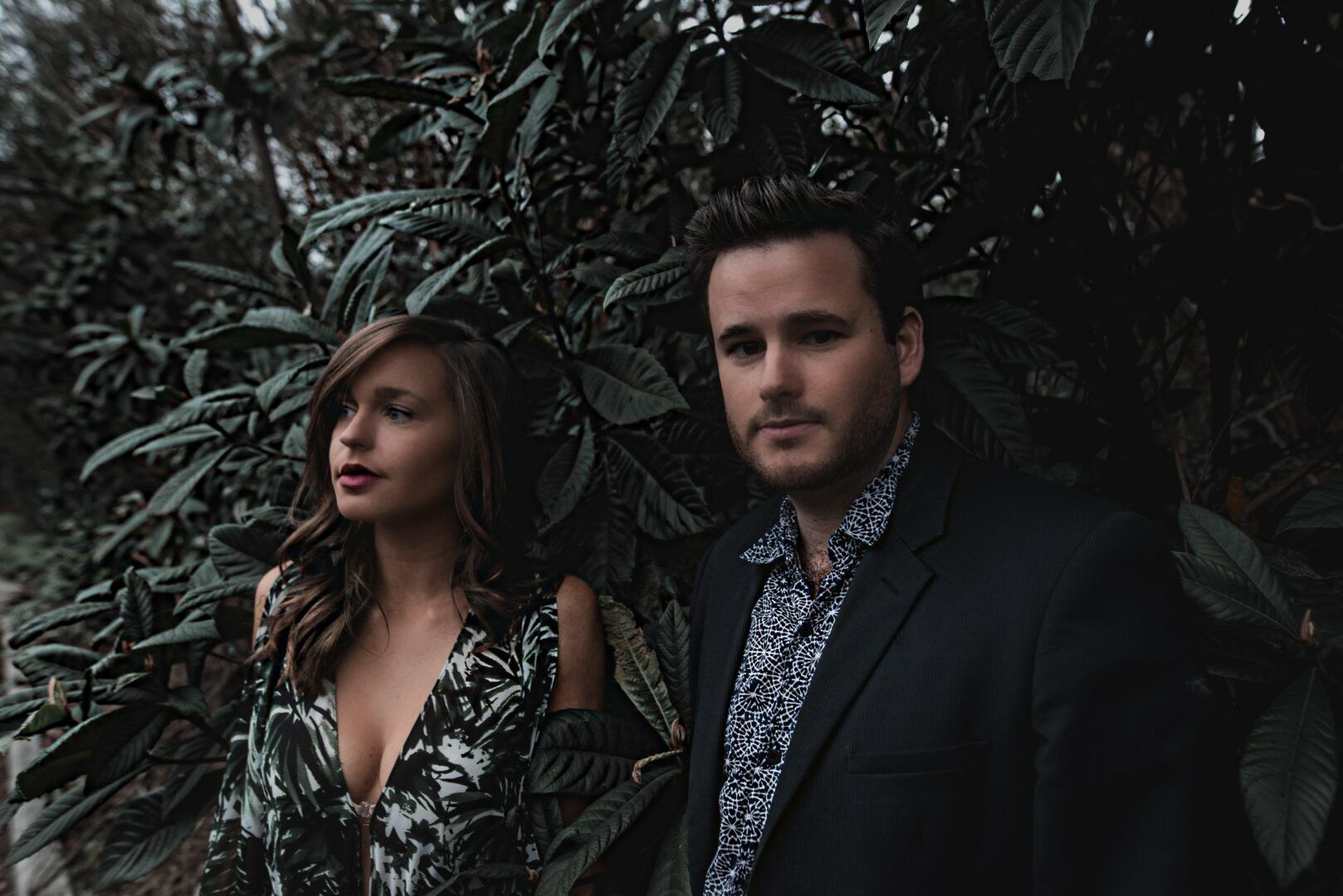 The Wild Now – DREAM TOUR