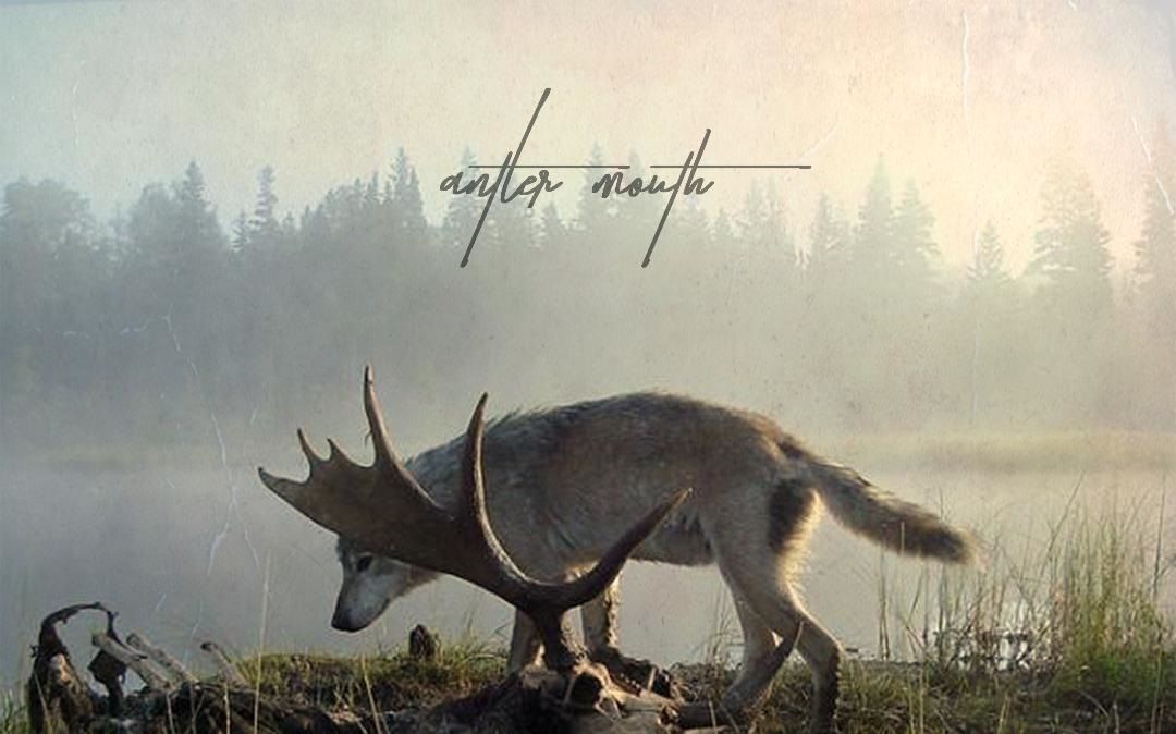 Antler Mouth