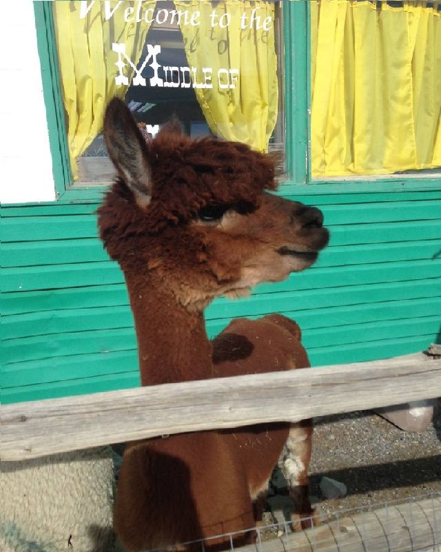 SomeKindaWonderful - blog 4 - photo 2