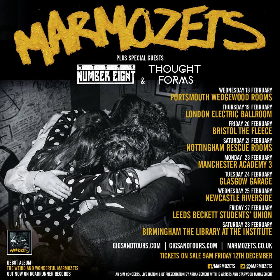 Marmozets - Headlining UK 2015 Tour - poster
