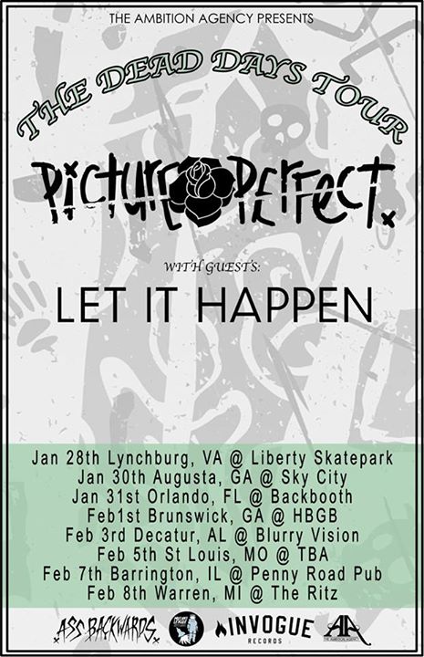 Picture Perfect-Tour-Poster