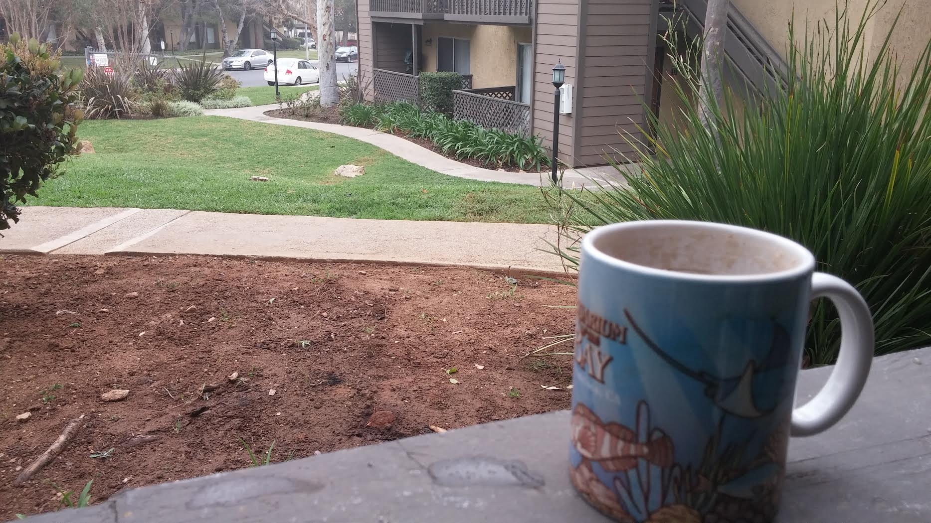 The view from the patio of the apartment we stayed in for our two shows in LA. 